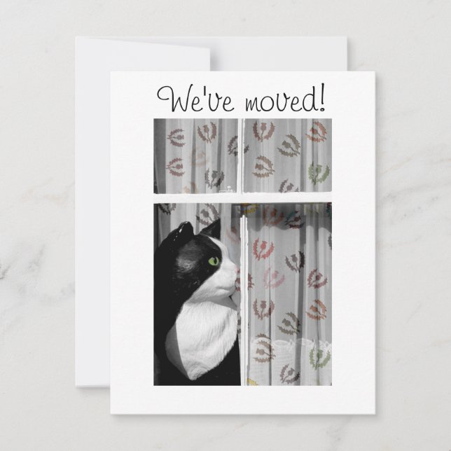 Fenêtre Cat Nouvelle carte de Faire-part (Devant)