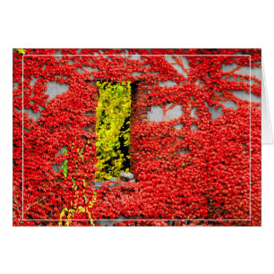 Fenêtre de Bannerman