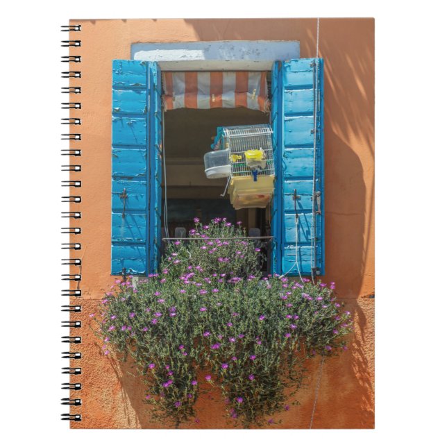 Fenêtre et carnet de cage à oiseaux (Devant)
