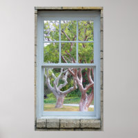 Fenêtre Vue Cadre troncs d'arbre en courbe Poster