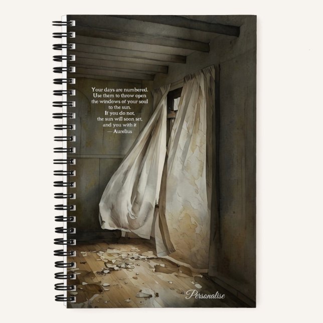 Fenêtres De Soul Aurelius Wisdom Citation Journal (Recto)