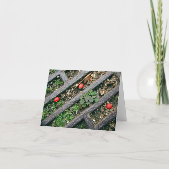 Fer Grate & Berries - Carte pour notes (Devant)