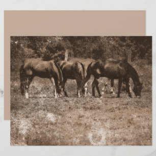 Ferme de cheval Pays Vintage Rustique Sepia Ouest