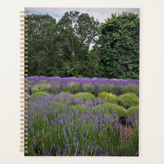 Ferme de Lavender (Devant)