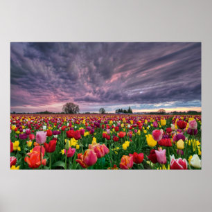 Ferme de tulipe en affiche de printemps de