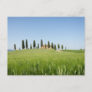 Ferme en Toscane avec carte postale cyprès
