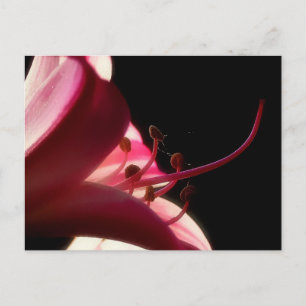 Fermer et carte postale personnelle