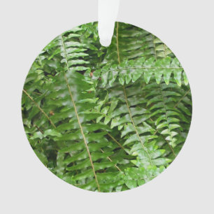 Fermer Fronds I Green Nature