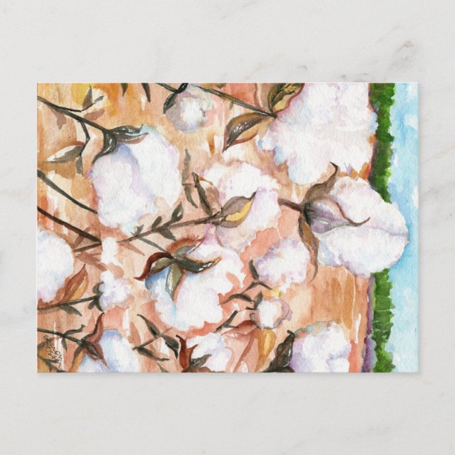 Fermer la carte postale du champ de coton (Devant)