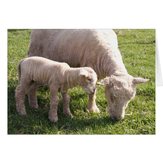 Fermer la sticulation (Devant horizontal)