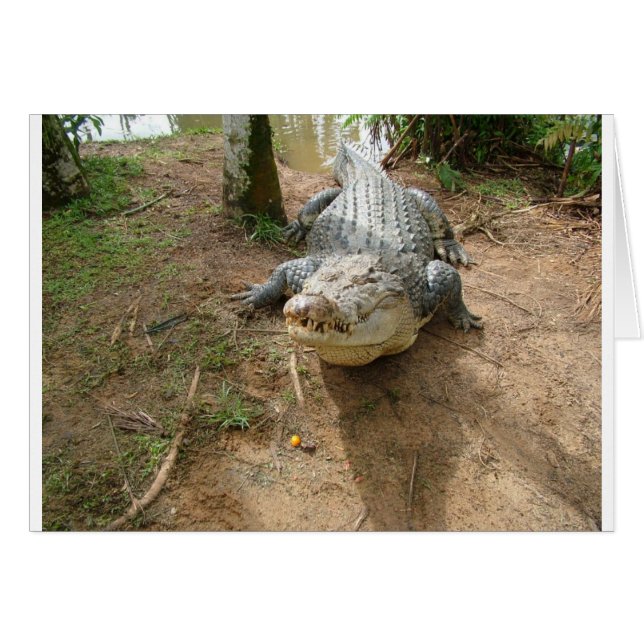 Fermer l'appel (Devant horizontal)