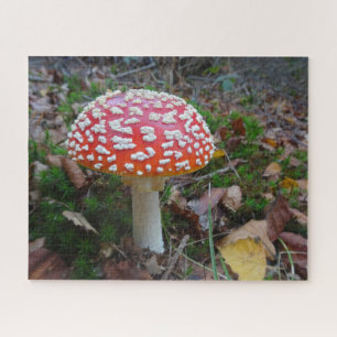 Fermer Puzzle : mignon vol Amanita