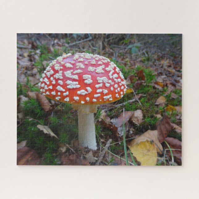 Fermer Puzzle : mignon vol Amanita (Horizontal)