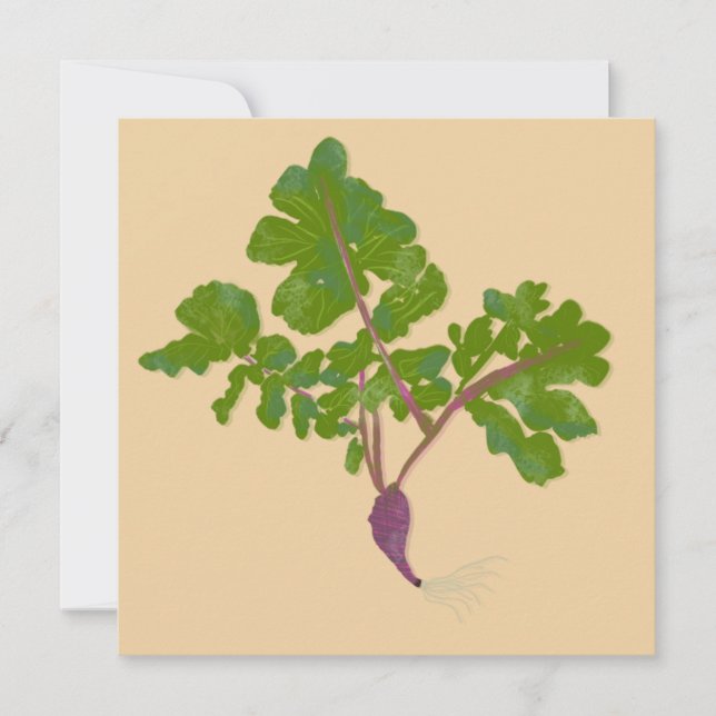 Fermier Radish Turnips Jardinage Plante (Devant)