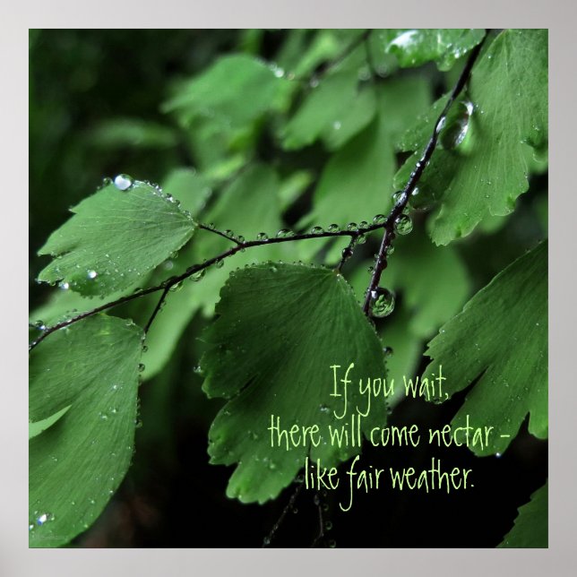 Fern and Raindrops Motivational Poster (Devant)