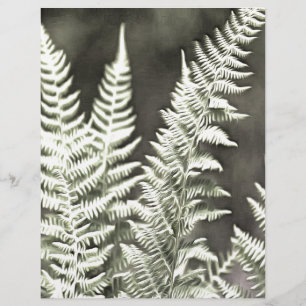 Fern Artistic Abstrait