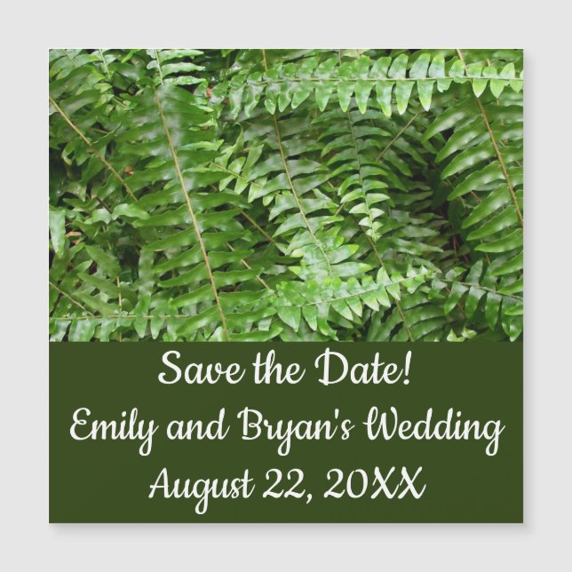 Fern Fronds I Green Nature (Devant)