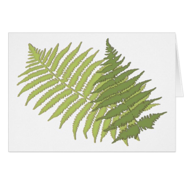 Fern Leaves (Devant horizontal)