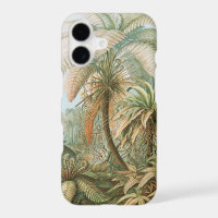 Ferns, Filicinae Laubfarne par Ernst Haeckel