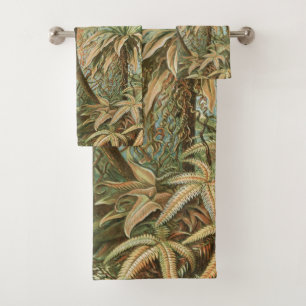 Ferns, Filicinae Laubfarne par Ernst Haeckel