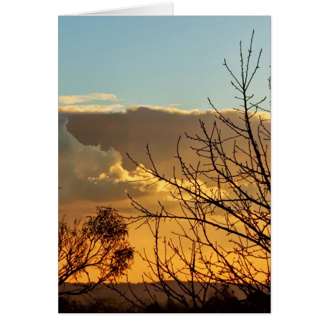 Ferntree Gully Skyscapes CARD (Devant)