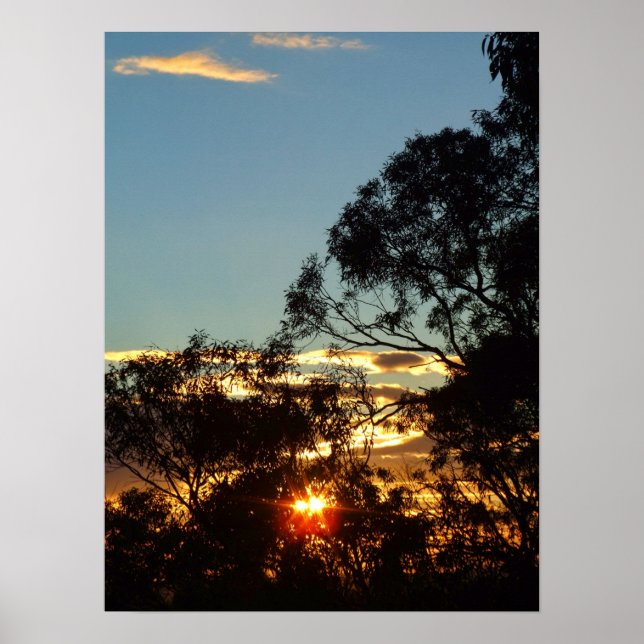 ferntree gully sun twinkle Poster (Devant)