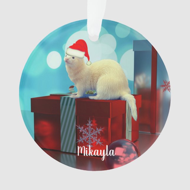 Ferret blanc pour animaux de compagnie dans l'orne (devant)