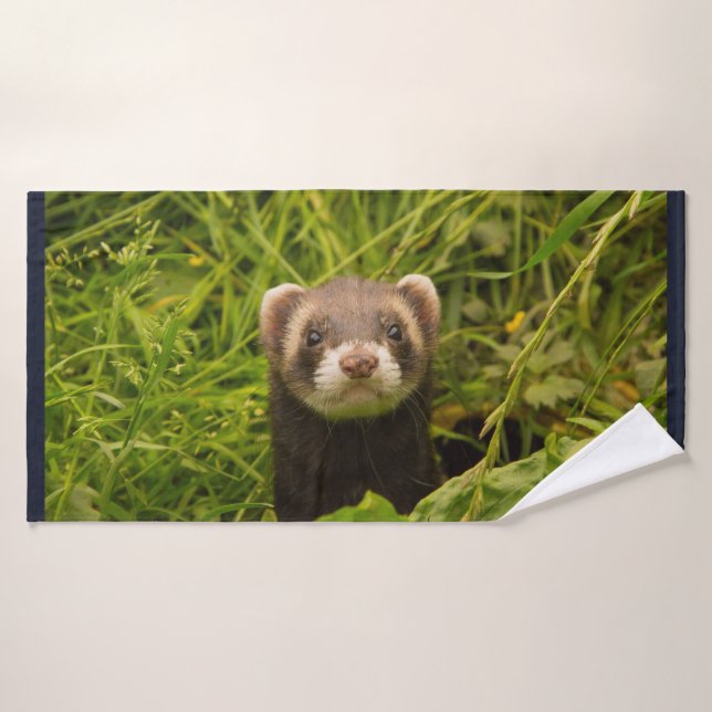 Ferret Brown mignon dans l'herbe photo (Serviette de bain)