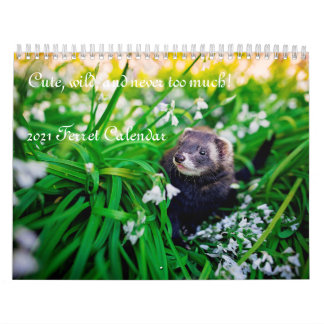 Ferret Calendrier 2021