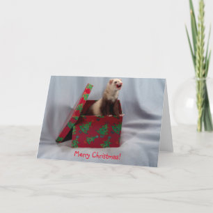 Ferret de carte de Noël