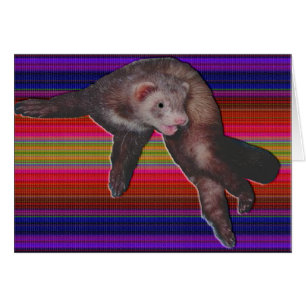 Ferret de danse