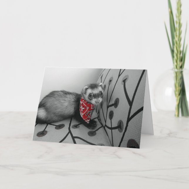 Ferret En Bandana Rouge Carte Anniversaire (Devant)