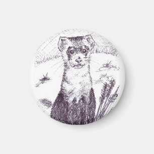 Ferret pied noir - Aimant