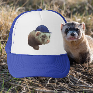 Ferret portant Casquette