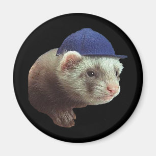 Ferret portant un aimant Casquette