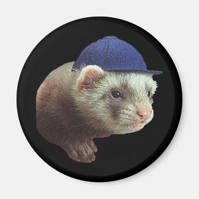 Ferret portant un aimant Casquette (Devant)