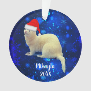 Ferret pour animaux de compagnie blanc à Santa Ha