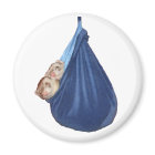 Ferrets Dans Un Magnet De Sac Dormir