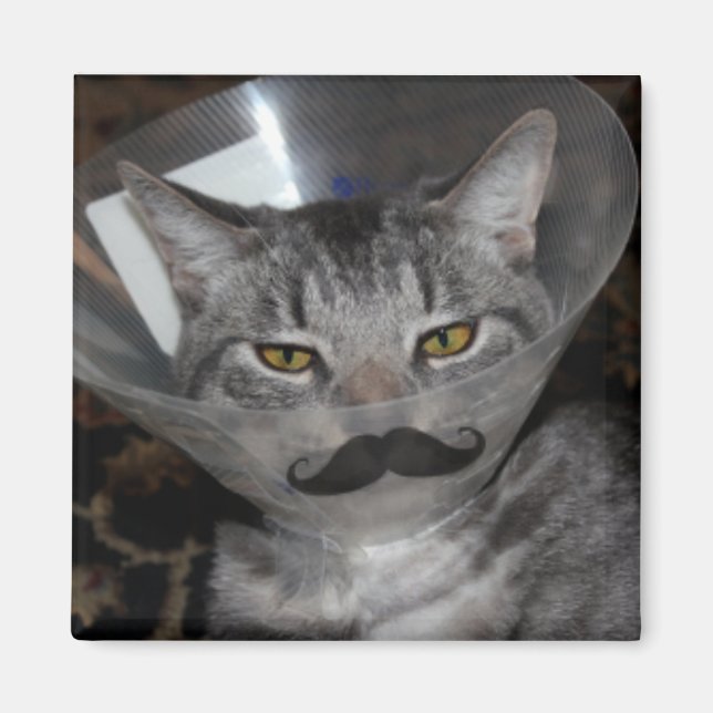 ferris mewler Magnet (Devant)