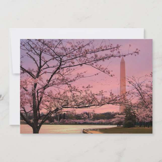 Festival Cherry Blossom du Monument de Washington (Devant)