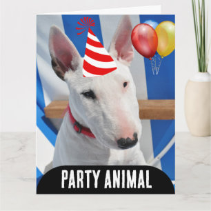 FÊTE CHIEN ANIMAL CHIEN FUNNY CARTE D'ANNIVERSAIRE