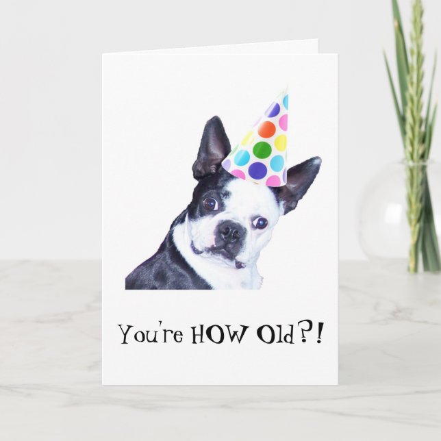 Fête d'anniversaire de Boston Terrier - carte (Devant)