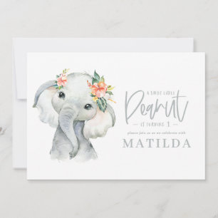 Fête d'anniversaire de petite fille d'éléphant aqu