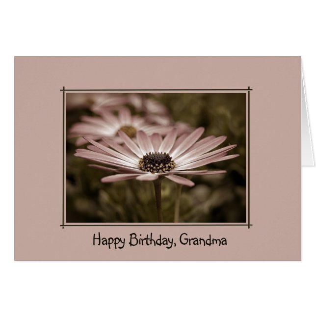 Fête d'anniversaire rose pour grand-mère (Devant horizontal)