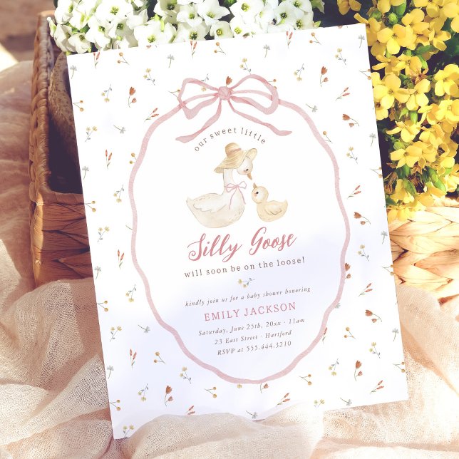 Fête de bébé Silly Goose Rose Budget (Créateur téléchargé)