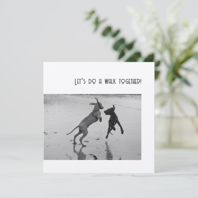 Fête de chien ou Patte de fête (Debout devant)