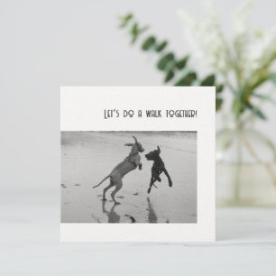 Fête de chien ou Patte de fête