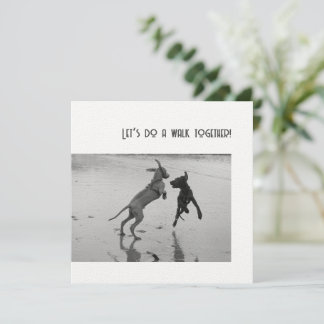 Fête de chien ou Patte de fête