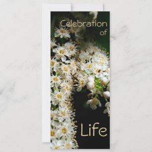 Fête de la vie florale 2 Invitation