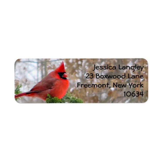Fête de Noël cardinal étiquettes de adresse (Devant)